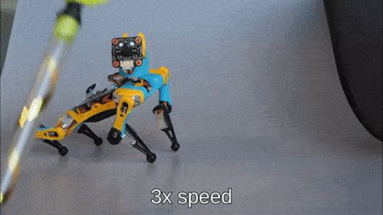 Bittle: A Palm-sized Robot Dog for STEM and Fun