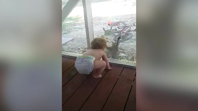 A Cat Gives A Toddler Girl All The Giggles