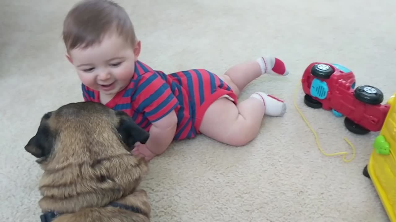 Babies LOVE Dogs!