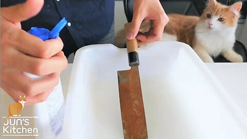 Polishing a Rusty Knife | PSN Experiment