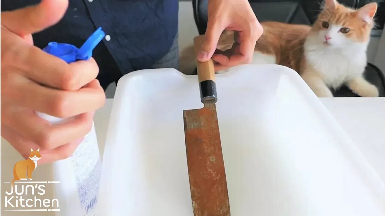 Polishing a Rusty Knife | PSN Experiment