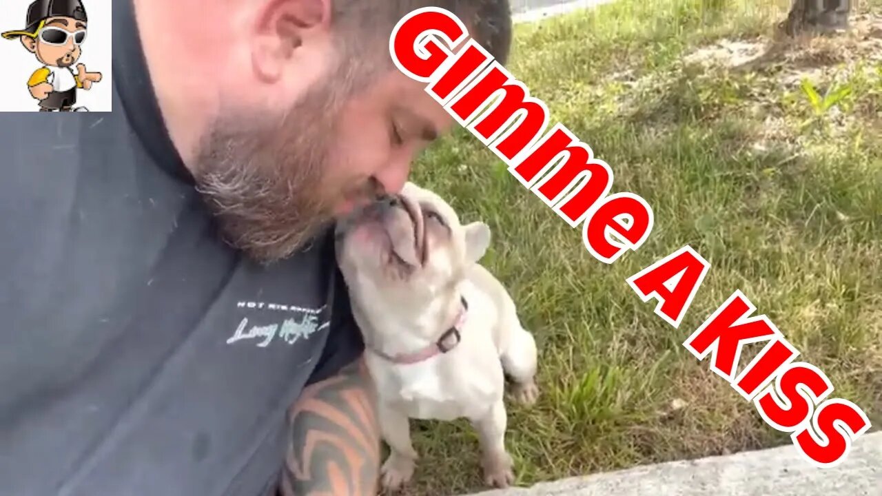 We Have A New Member To The Family