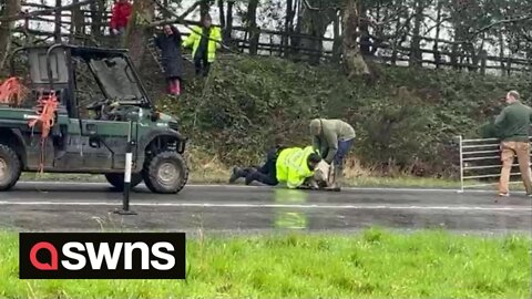 Police chase was captured on video after five SHEEP escaped onto a main road.