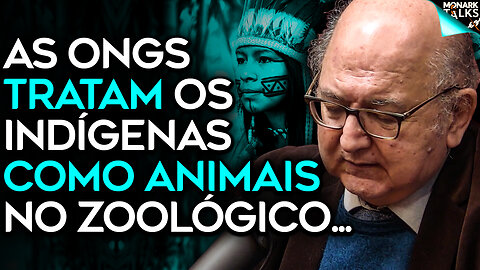 O INTERESSE POR TRÁS DO POVO INDÍGENA NA AMAZÔNIA [MÁFIA VERDE]