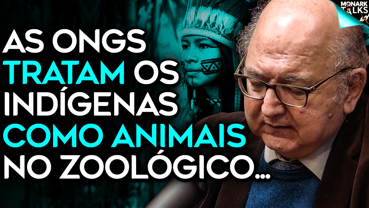 O INTERESSE POR TRÁS DO POVO INDÍGENA NA AMAZÔNIA [MÁFIA VERDE]