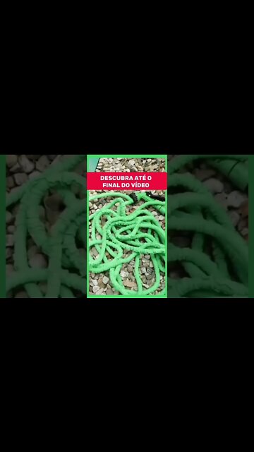 Mangueira de Jardim Que NÃO DOBRA? Mágica? Original? Mangueira Preta 3/4? 30 METROS? É Boa #shorts