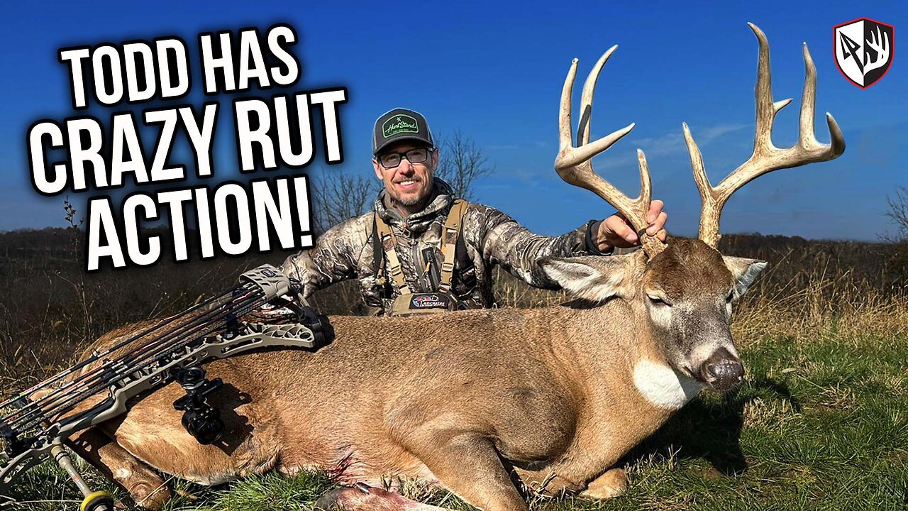 BIG BUCK! Crazy Rut Action!