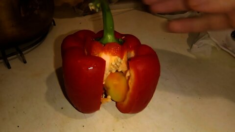 Mutant Bell Pepper / Ardei Gras Mutant.