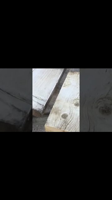 Kill Mold With Oxygen #shorts