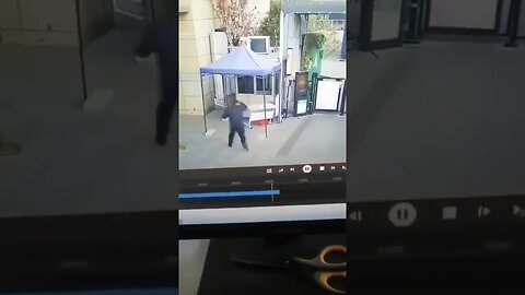 Wild Boar VS Security Guard