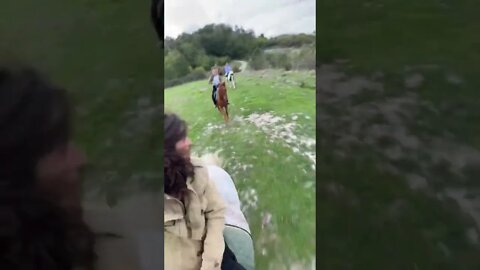 THIS Horse Ride made Our Day