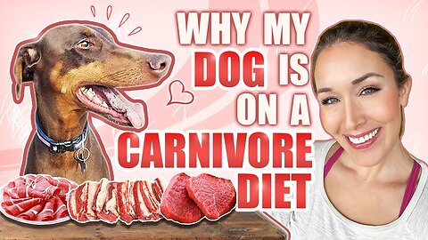 Why my dog is on a carnivore diet.