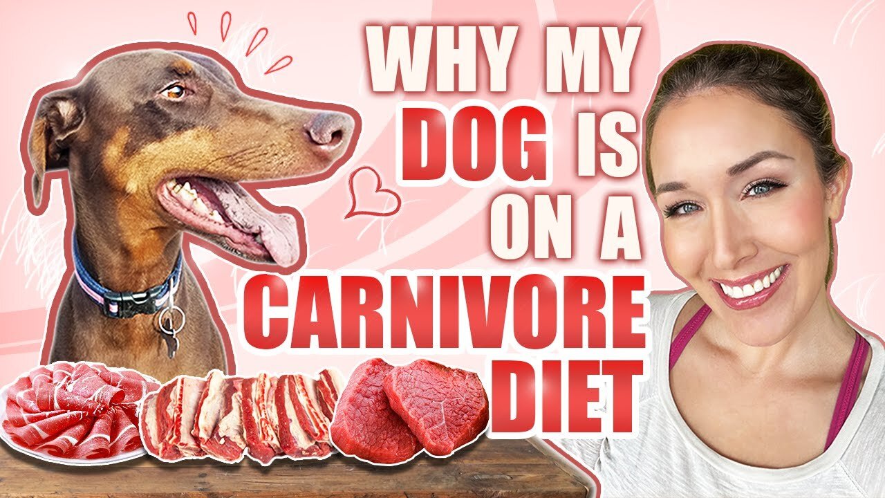 Why my dog is on a carnivore diet.