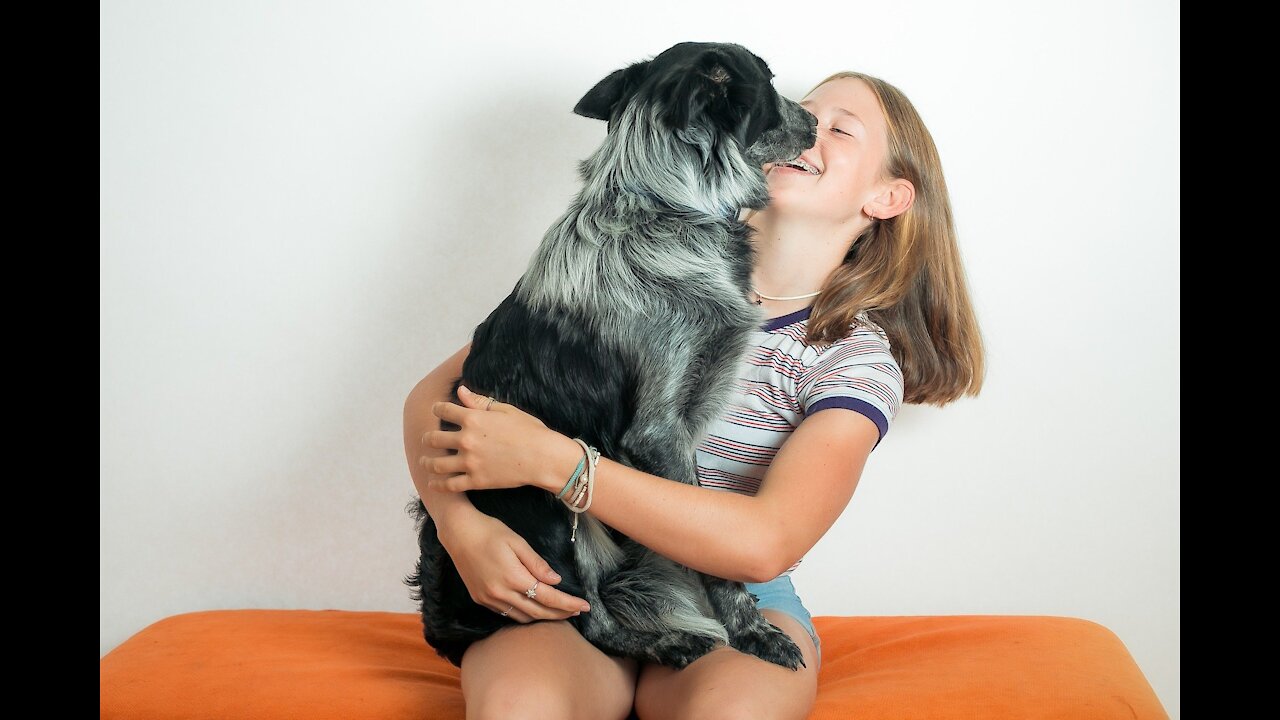 Dog is attentive to the complaints of the mother who is not happy with him