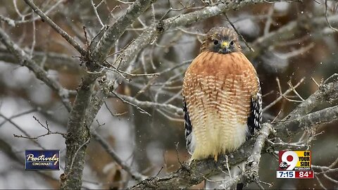 Positively Cincinnati: How nature photography strengthened couple's relationship