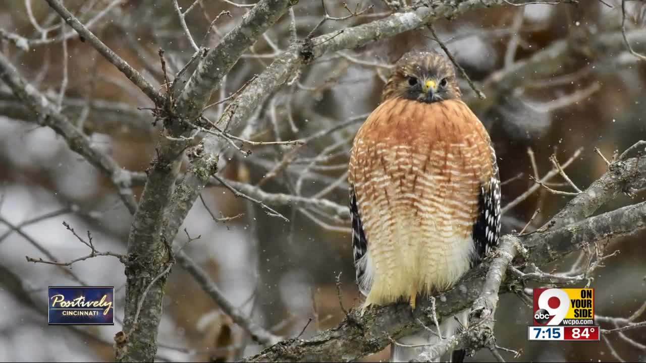 Positively Cincinnati: How nature photography strengthened couple's relationship