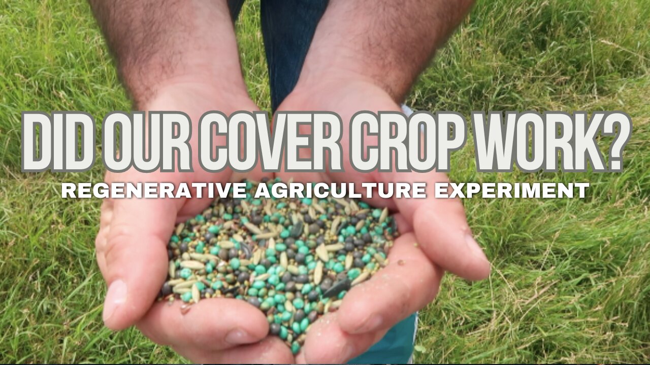 Farm Chores and Cover Crop Update