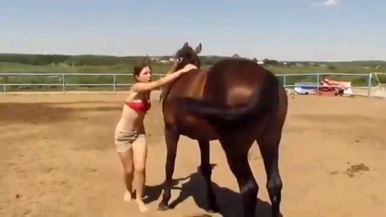 Horse Shows Sympathy for Girl