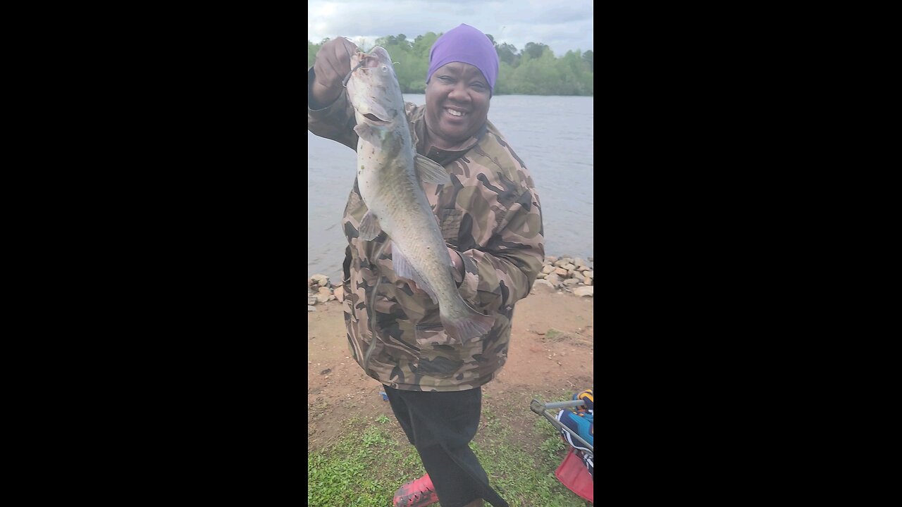 Another One Catfish