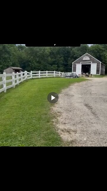 Cutest thing I've ever seen.