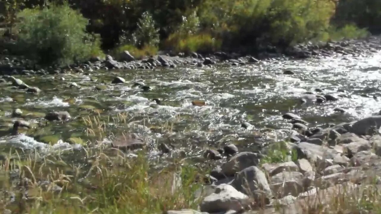 Rock Creek in Red Lodge, MT