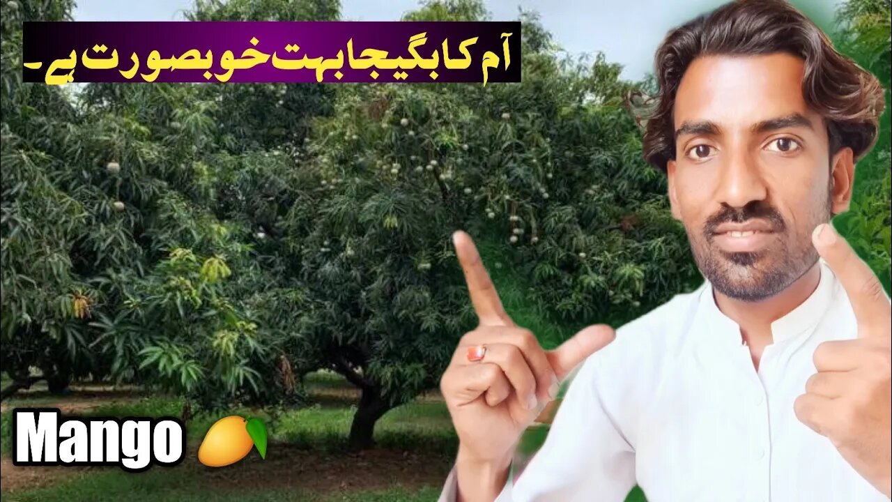 aaj k vlog main bhut maza aane wala hai 🥭 asaad Ali tech