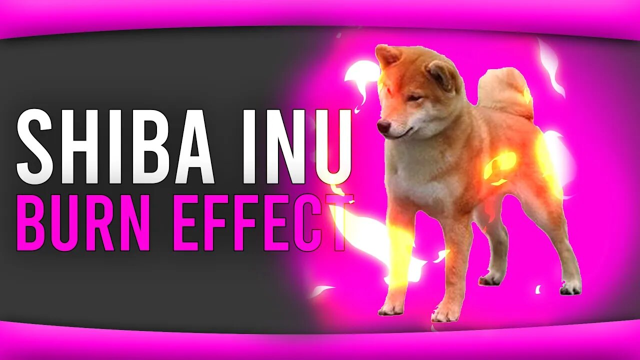 SHIBA INU TOKEN UPDATE