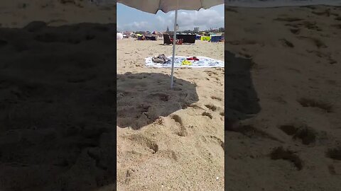 Pulga na areia