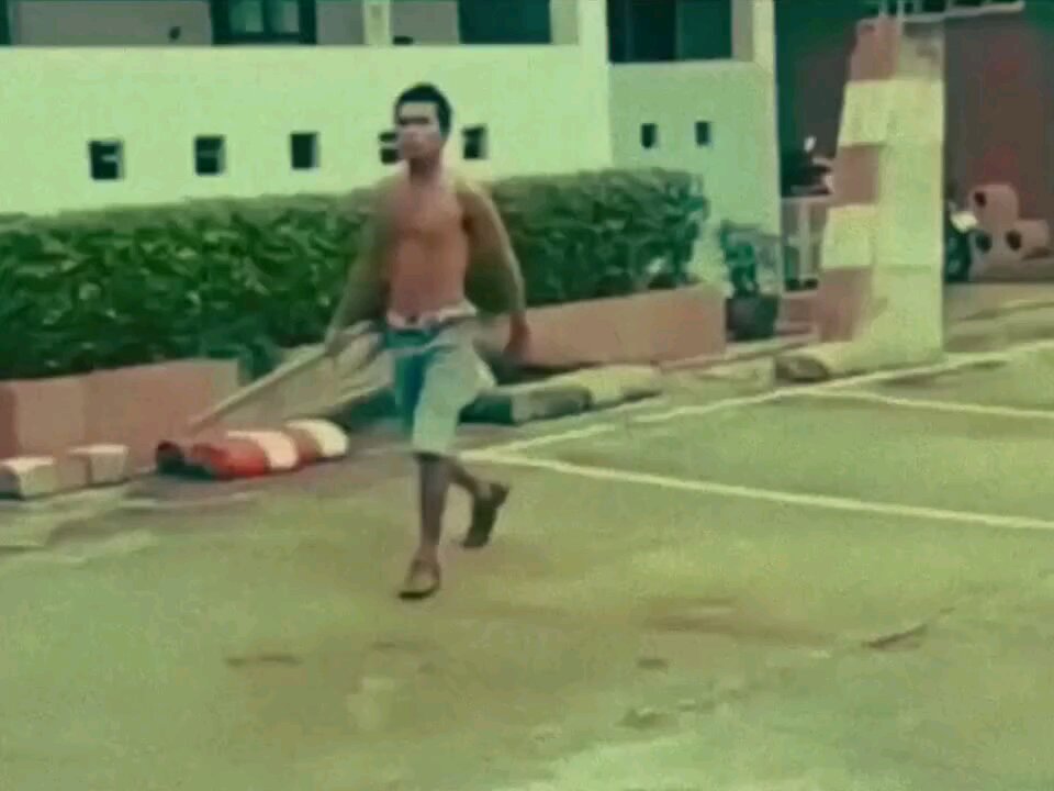 Leading the Way... Right Into Chaos: When Plans Go Hilariously Wrong!"