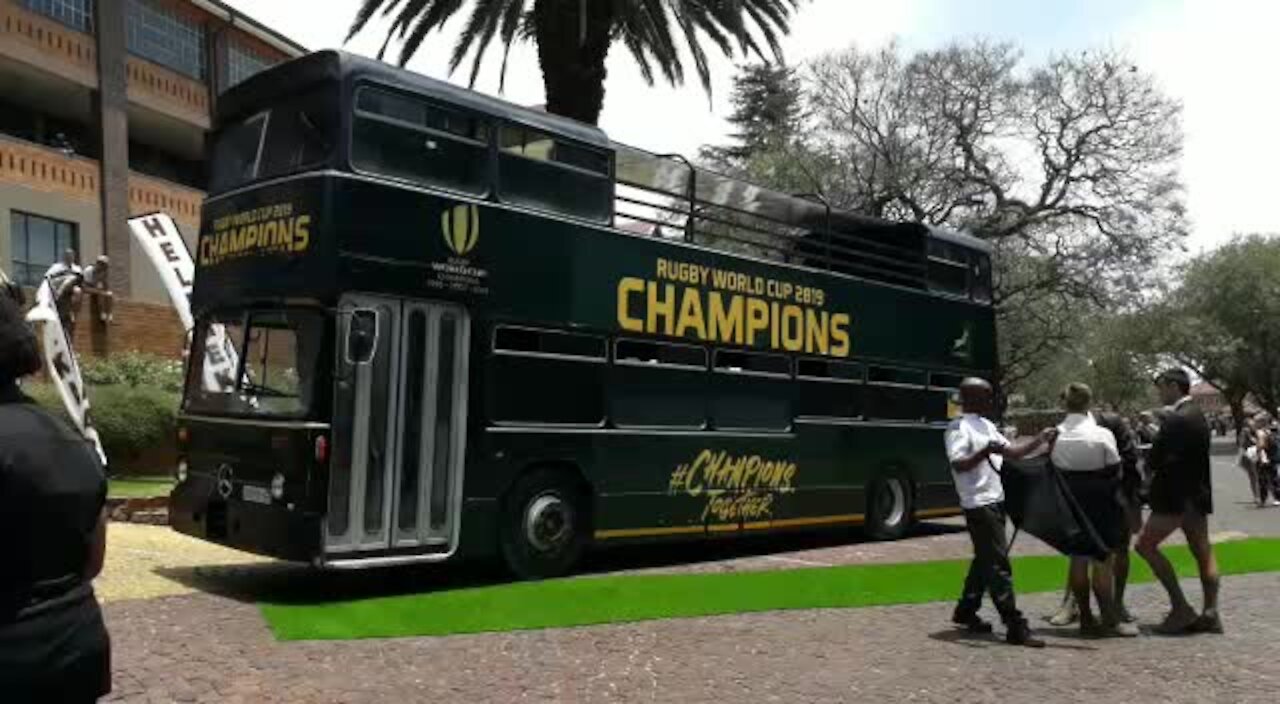 SOUTH AFRICA - Johannesburg - Springbok Rugby World Cup Trophy Tour (Video) (Nnm)