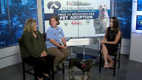 Clear the Shelters SPCA