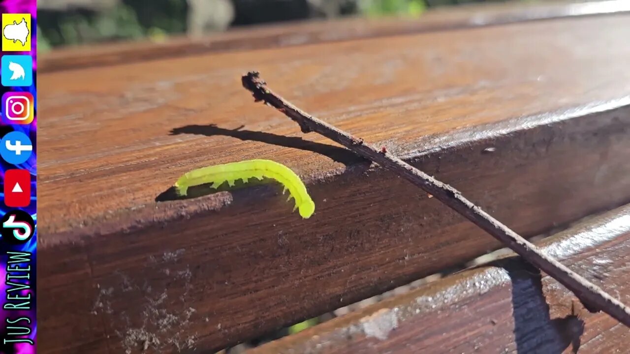 Be A Bridge For Anyone