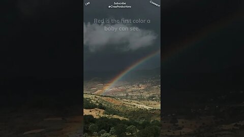 Colors