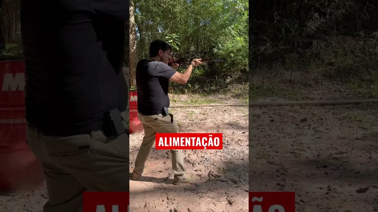 Pane de ALIMENTAÇÃO EM AÇÃO POR ALAVANCA.