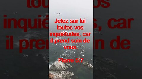 Verset Du Jour | Lecture Inspirante Pour Commencer La Journée. | 19