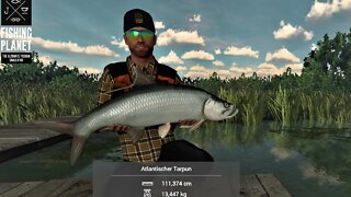 Fishing Planet Folge 573 Tarpun in Florida