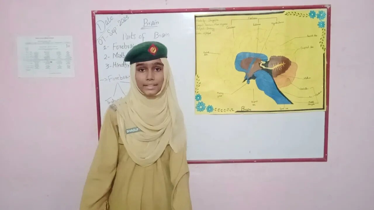 What is Brain, function of Brain, presentation at Askari School Mailsi Campus, 0302-2572710