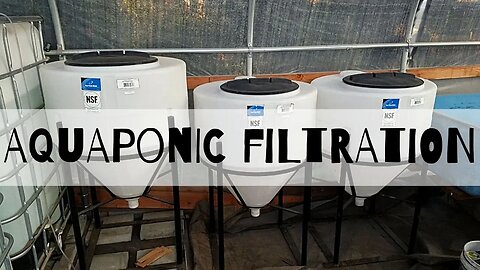 Aquaponic system Renovation part 8 (filtration introduction/ washing and moving them) )