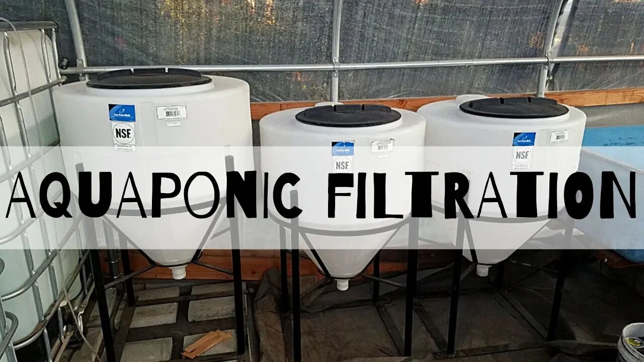 Aquaponic system Renovation part 8 (filtration introduction/ washing and moving them) )