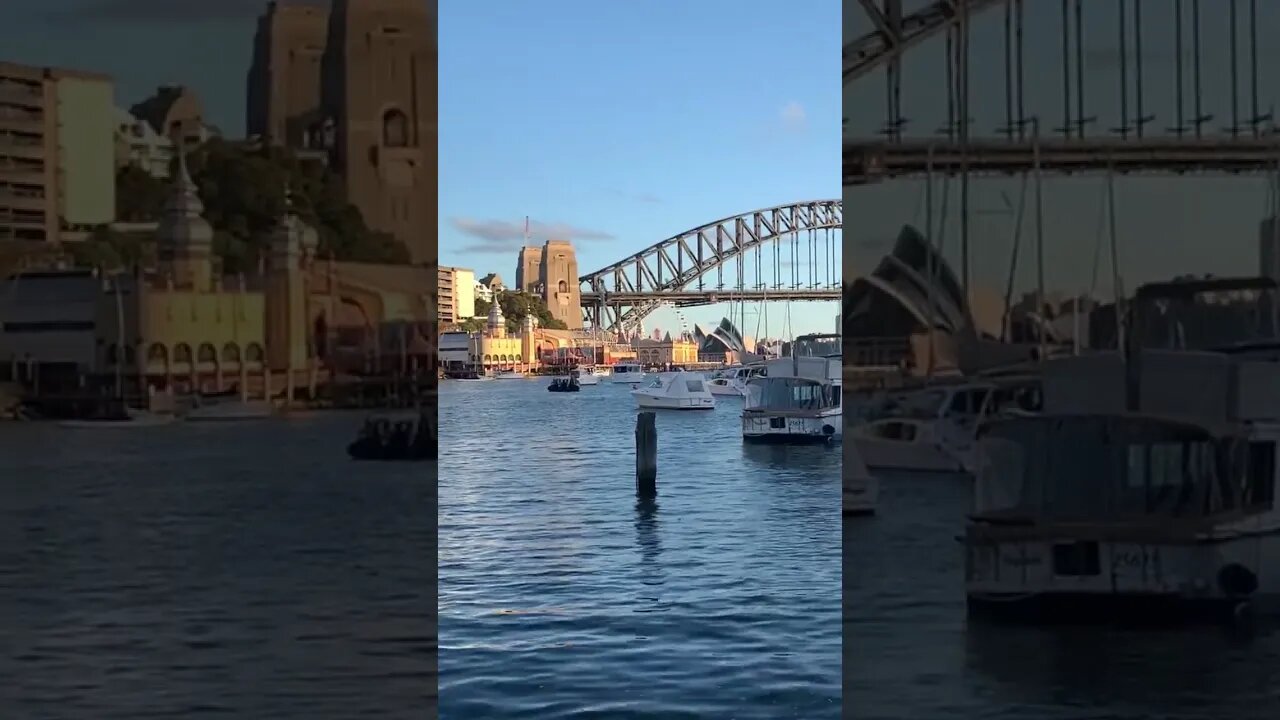 Harbour Bridge from Lavender Bay Boat Ramp