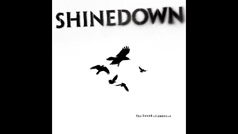 Shinedown - The Sound Of Madness