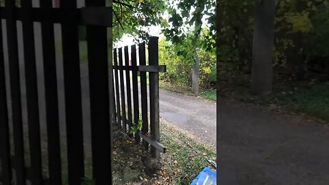 Fence & Gate Repair