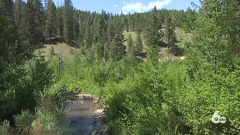 Boise National Forest hiring seasonal employees