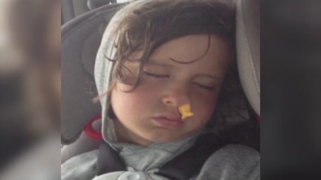 Little Boy Sleeps With A Fish Shaped Cracker In His Nostril