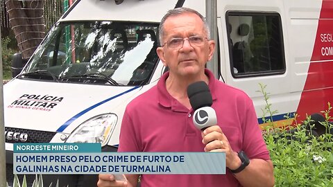 Nordeste Mineiro: Homem Preso pelo Crime de Furto de Galinhas na Cidade de Turmalina.