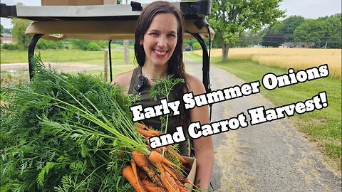 Tips And Tricks For Successful Carrots And Onions