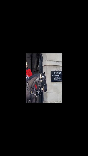 Push the baby away #horseguardsparade