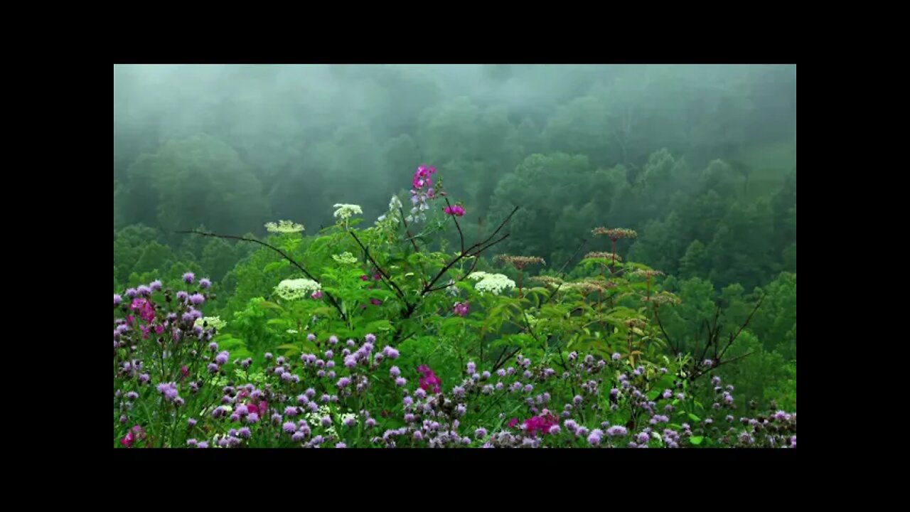 Rain with Singing Bowls (Calm Meditation)