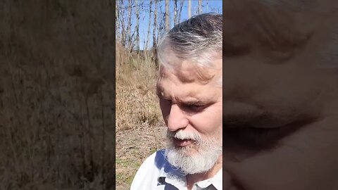 Ruger 10/22 Takedown on a Magpul backpacker stock with old Bushnell 22LR Varmit scope