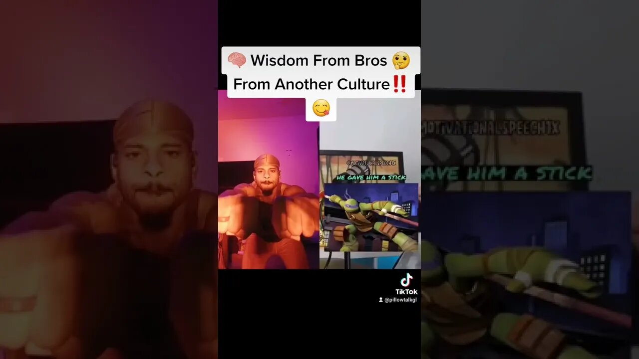 The Teenage NINJA Turtles - WisDom Of Master Splinter